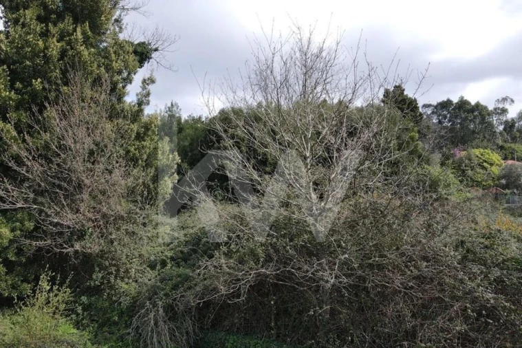 Terreno para Venda em Lourosa Foto 15
