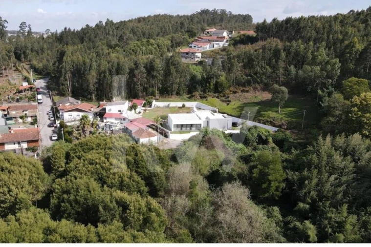 Terreno para Venda em Lourosa Foto 12