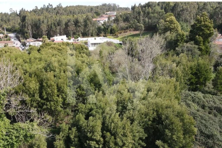 Terreno para Venda em Lourosa Foto 11