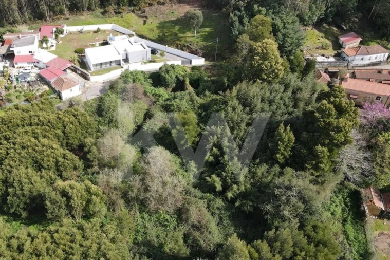 Terreno para Venda em Lourosa Foto 13