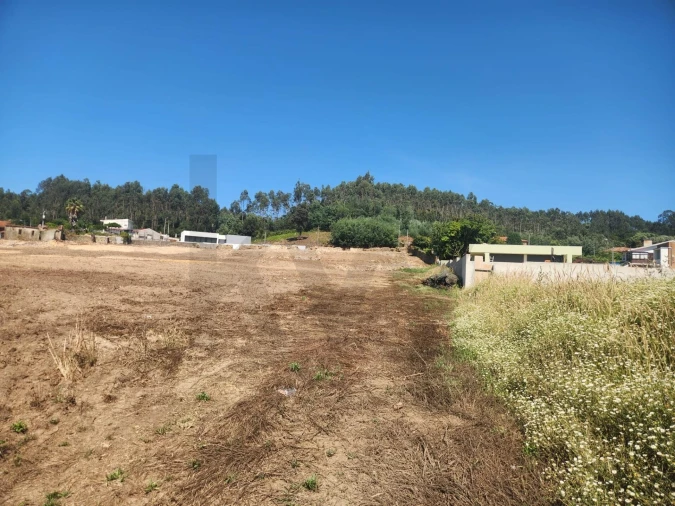 Terreno para Venda em Lourosa Foto 10