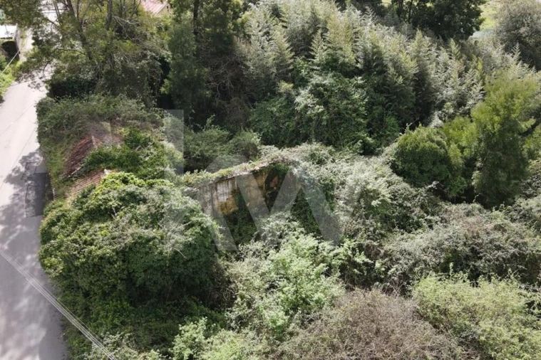 Terreno para Venda em Lourosa Foto 4