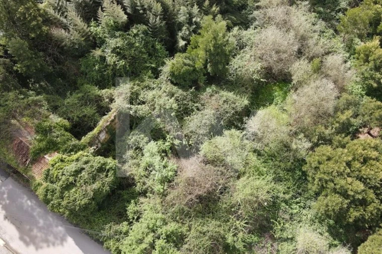 Terreno para Venda em Lourosa Foto 7