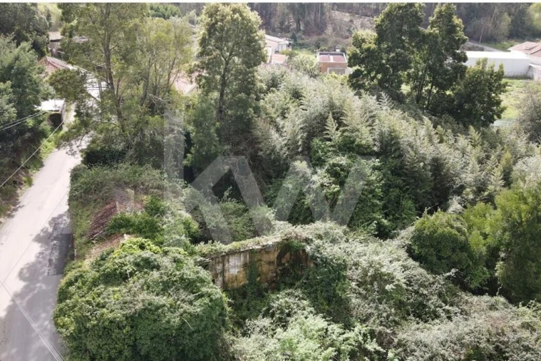 Terreno para Venda em Lourosa Foto 3