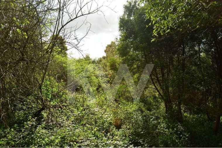 Terreno para Venda em Lourosa Foto 25
