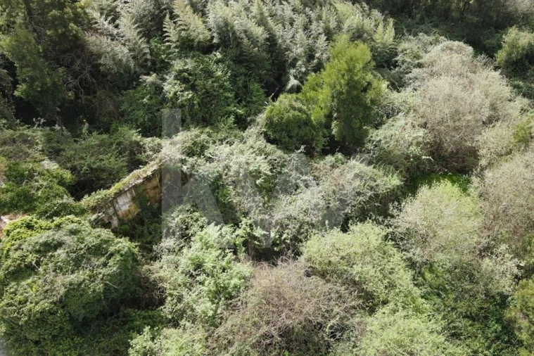 Terreno para Venda em Lourosa Foto 6