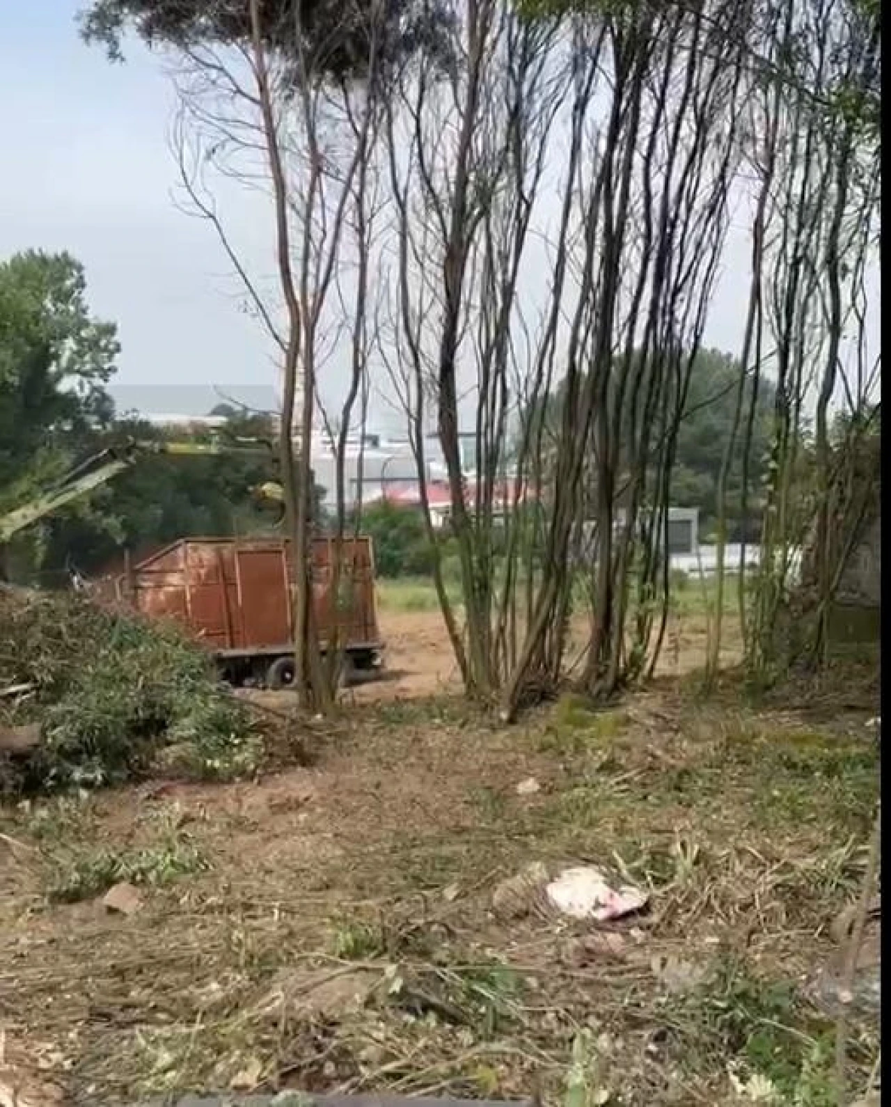 Terreno para Venda em Lourosa Foto 14