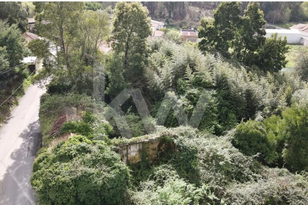 Terreno para Venda em Lourosa Foto 3