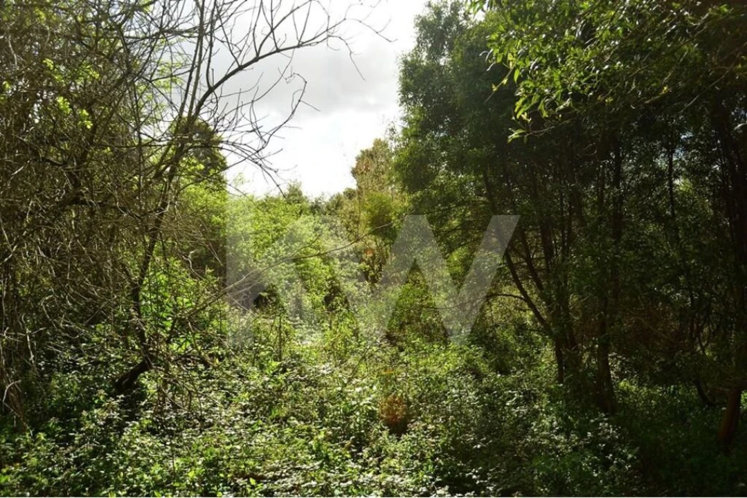 Terreno para Venda em Lourosa Foto 25