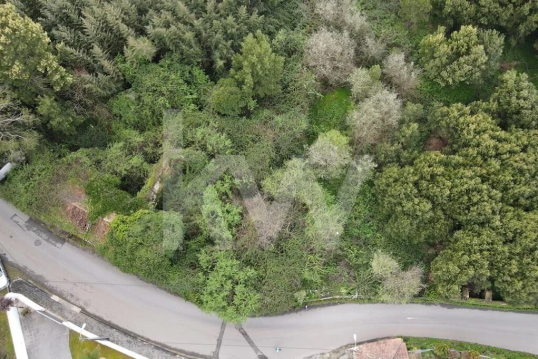 Terreno para Venda em Lourosa Foto 9