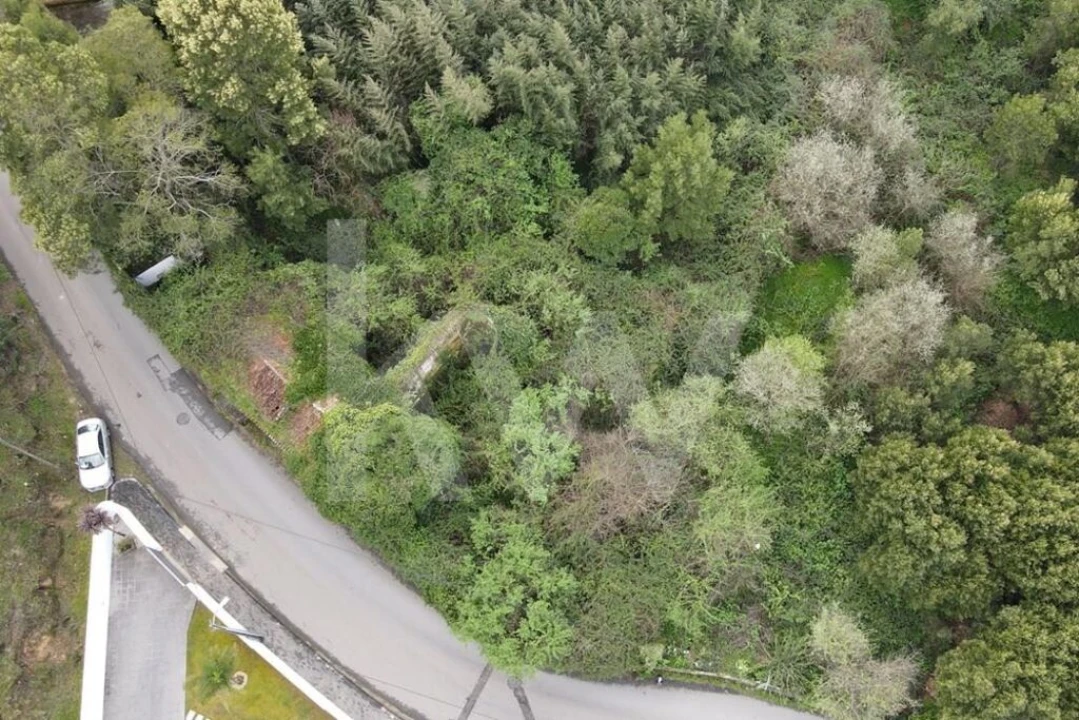 Terreno para Venda em Lourosa Foto 8