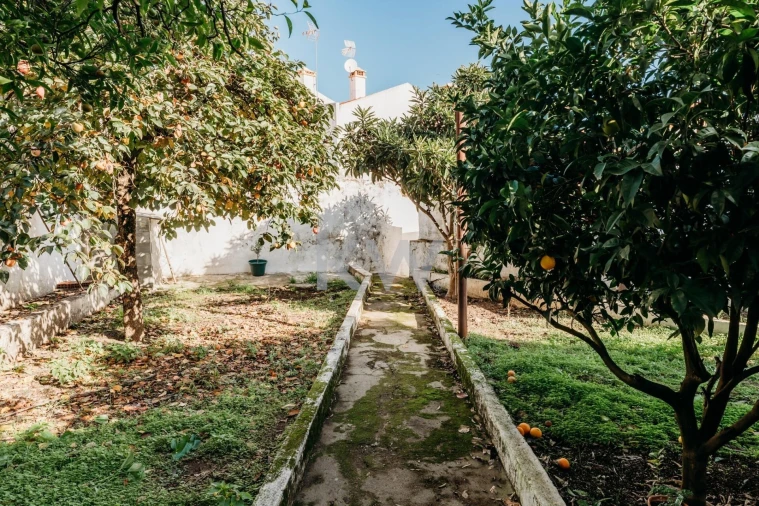 Prédio para Venda em Alter do Chão Foto 2