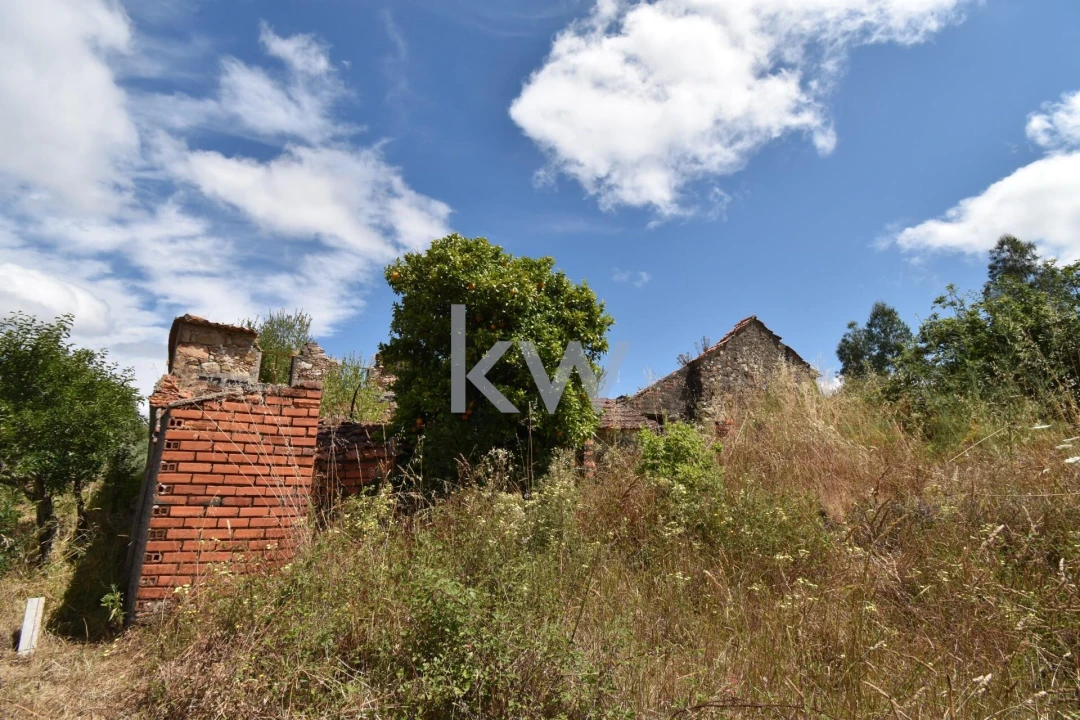 Moradia T3 para Venda em Pombeiro da Beira Foto 21