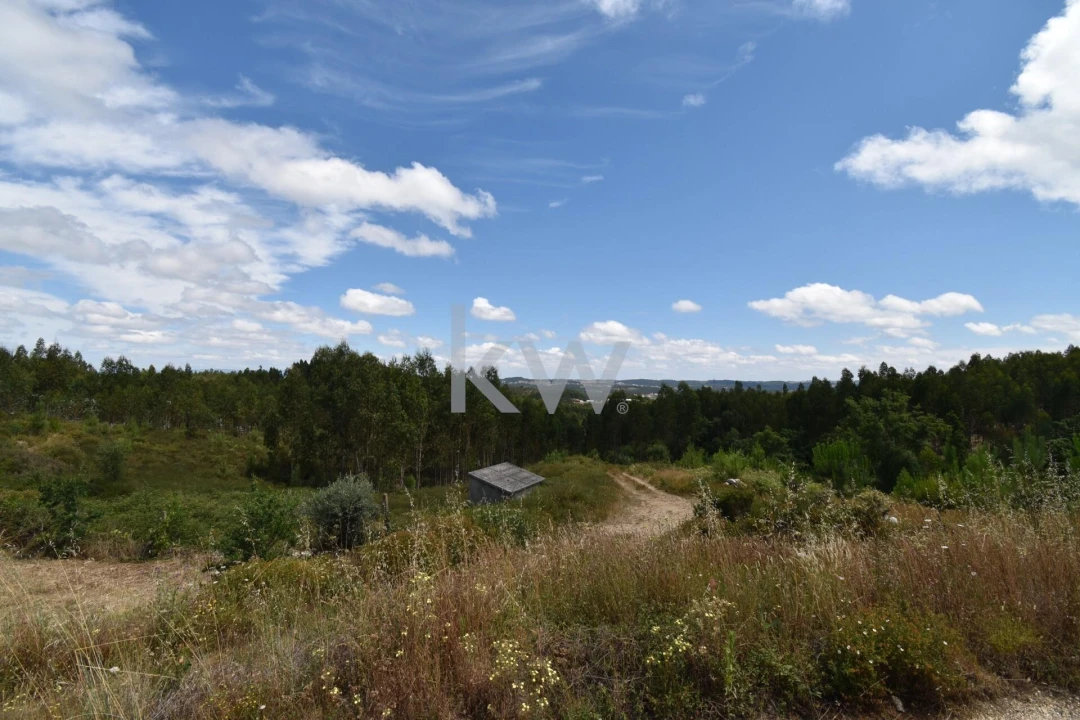 Moradia T3 para Venda em Pombeiro da Beira Foto 26