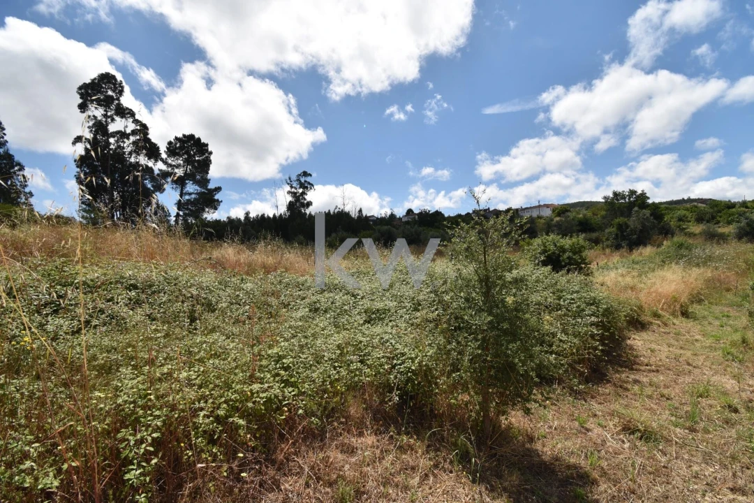 Moradia T3 para Venda em Pombeiro da Beira Foto 22