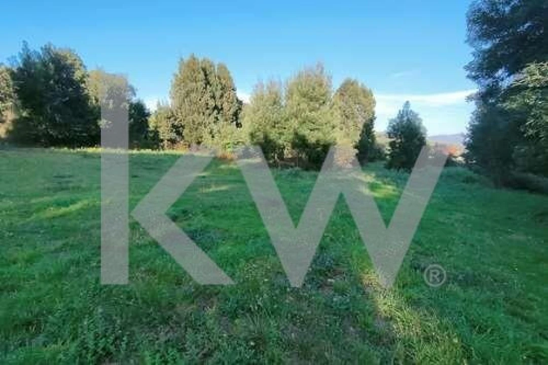 Quinta T5 para Venda em Freixieiro de Soutelo Foto 64