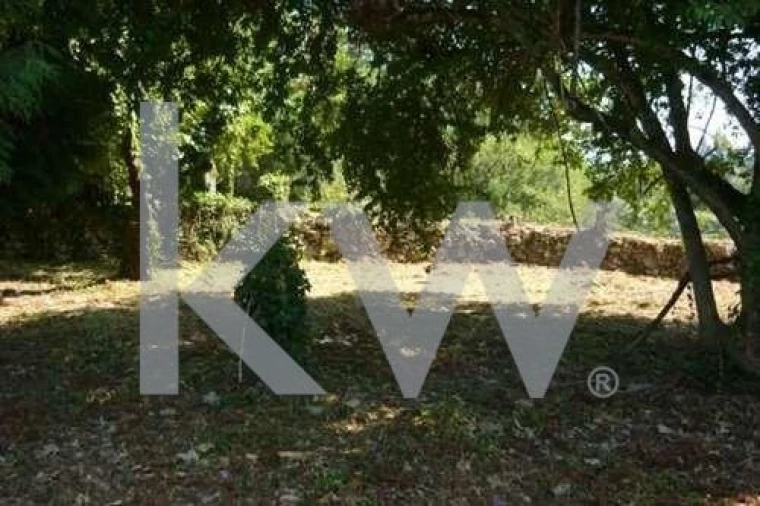 Quinta T5 para Venda em Freixieiro de Soutelo Foto 58