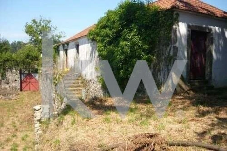Quinta T5 para Venda em Freixieiro de Soutelo Foto 49
