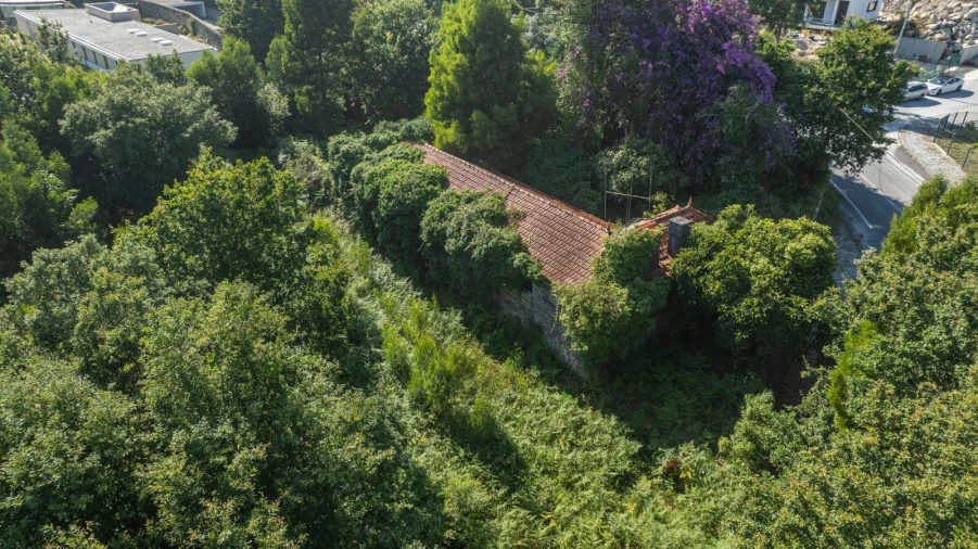 Quinta T5 para Venda em Freixieiro de Soutelo Foto 32