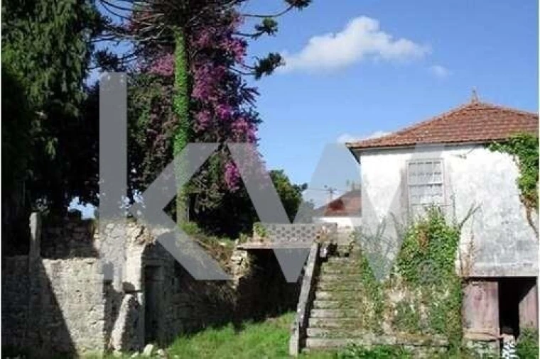 Quinta T5 para Venda em Freixieiro de Soutelo Foto 42