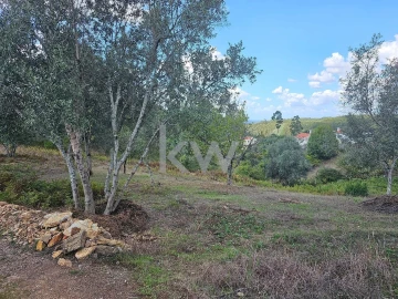 Terreno para Venda em Santo Antonio dos Olivais