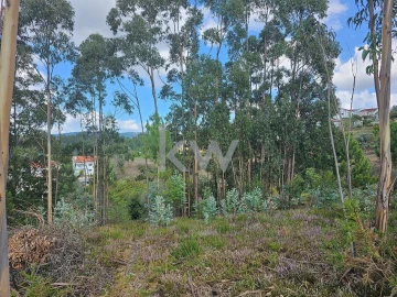 Terreno para Venda em Santo Antonio dos Olivais