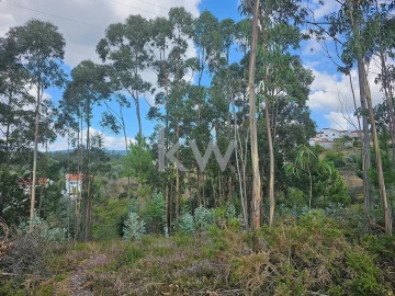Terreno para Venda em Santo Antonio dos Olivais