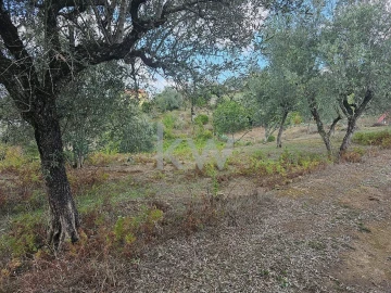 Terreno para Venda em Santo Antonio dos Olivais
