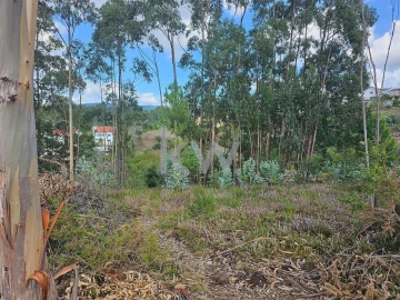 Terreno para Venda em Santo Antonio dos Olivais