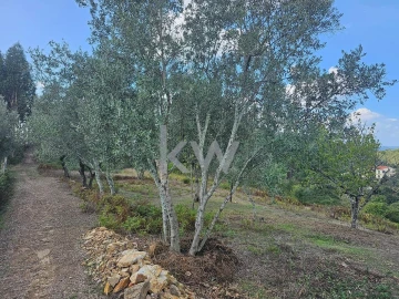 Terreno para Venda em Santo Antonio dos Olivais