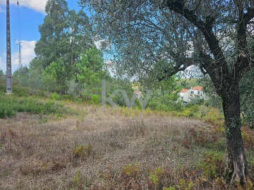 Terreno para Venda em Santo Antonio dos Olivais