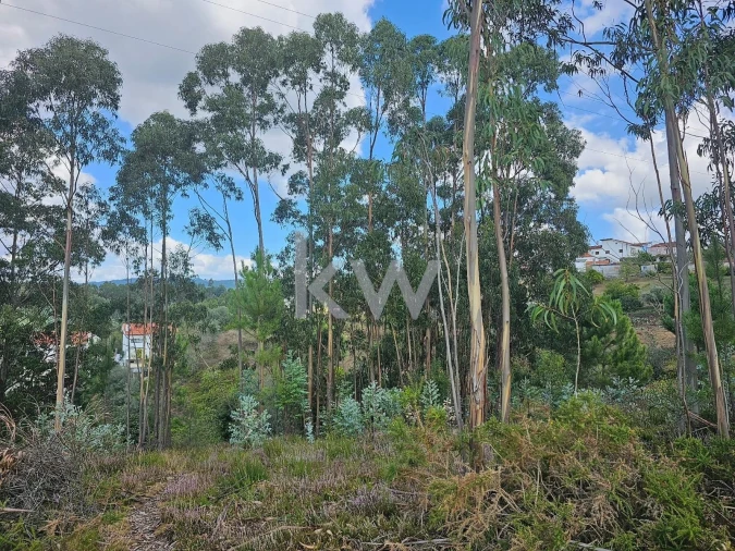 Terreno para Venda em Santo Antonio dos Olivais Foto 7