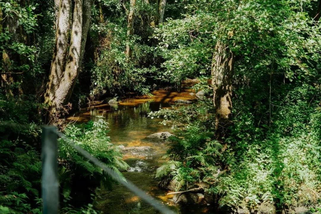 Terreno para Venda em Tabua Foto 14