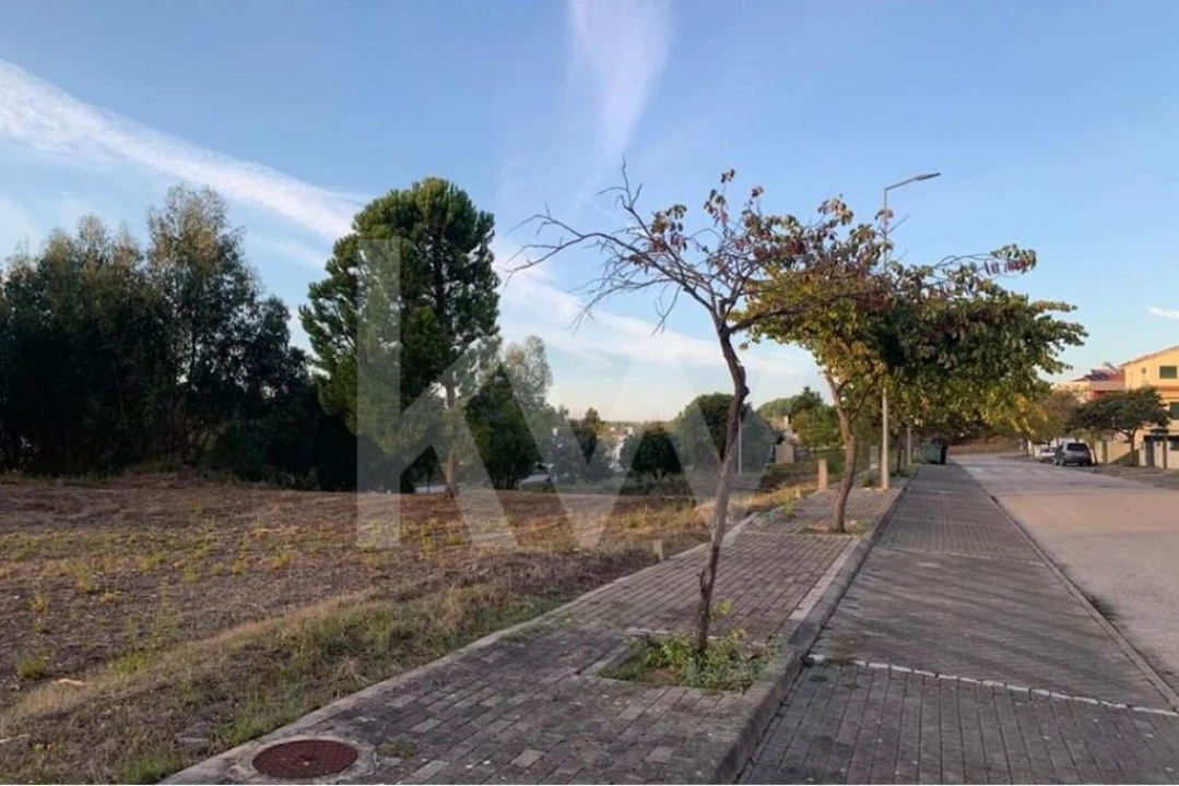 Terreno para Venda em São João Baptista Foto 16