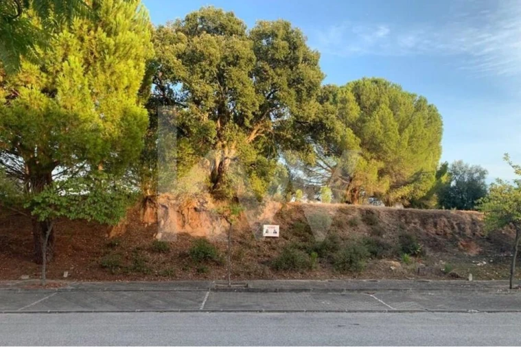 Terreno para Venda em São João Baptista Foto 2