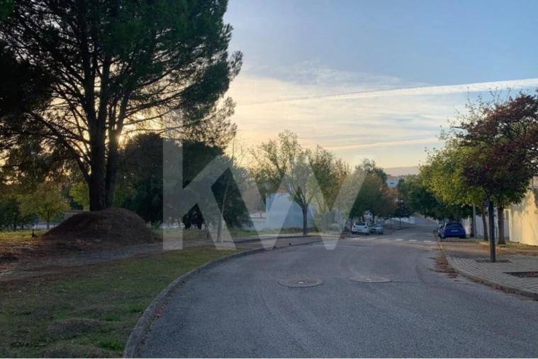 Terreno para Venda em São João Baptista Foto 12