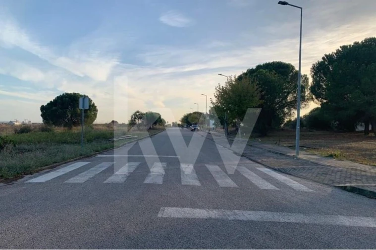 Terreno para Venda em São João Baptista Foto 17