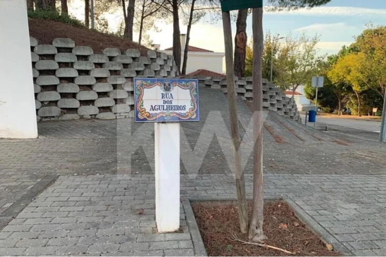 Terreno para Venda em São João Baptista Foto 6