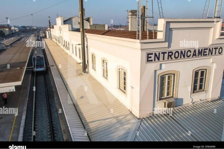 Terreno para Venda em São João Baptista Foto 31