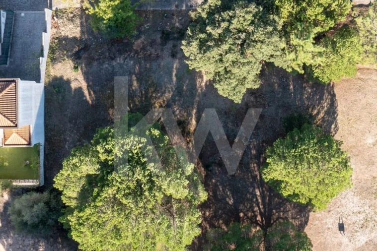Terreno para Venda em São João Baptista Foto 30