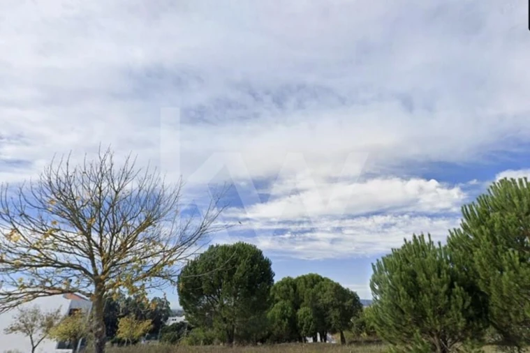 Terreno para Venda em São João Baptista Foto 11