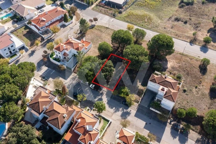 Terreno para Venda em São João Baptista Foto 22