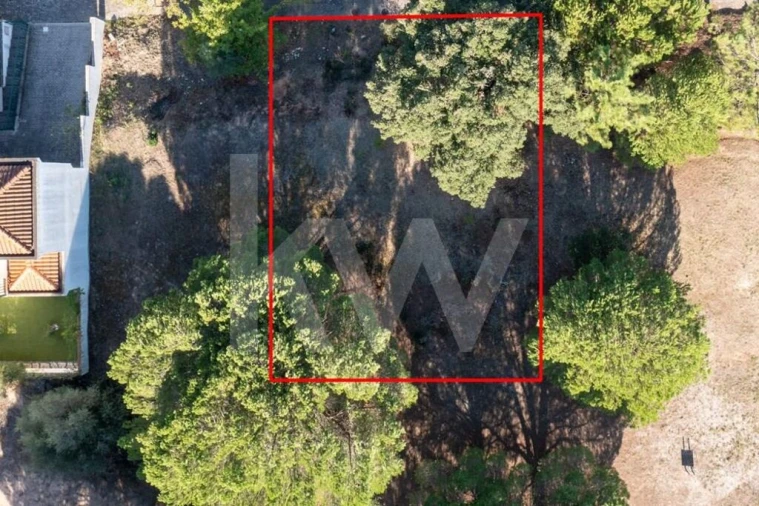 Terreno para Venda em São João Baptista Foto 21