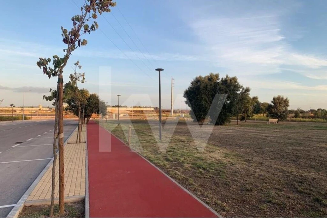 Terreno para Venda em São João Baptista Foto 19