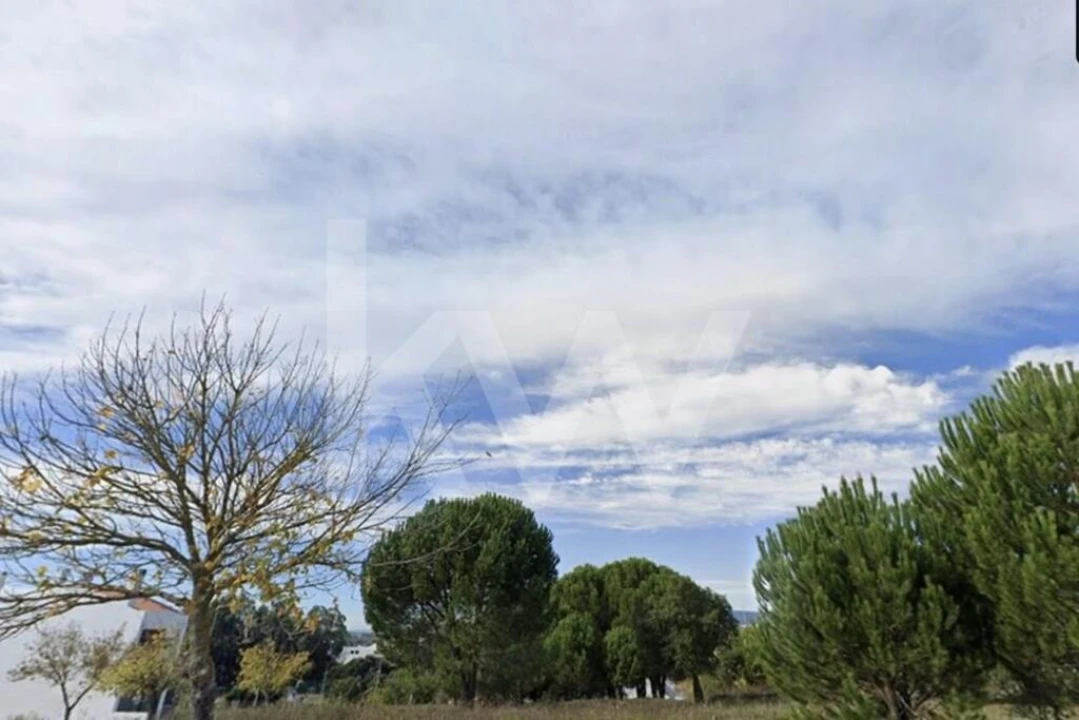 Terreno para Venda em São João Baptista Foto 11
