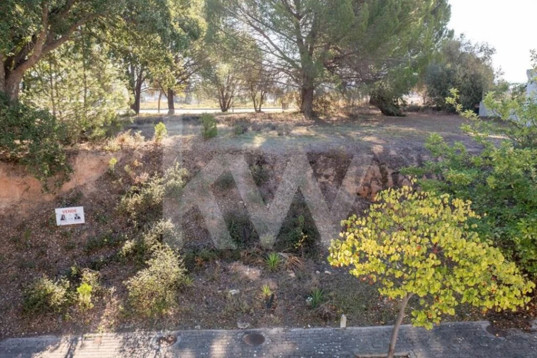 Terreno para Venda em São João Baptista Foto 25