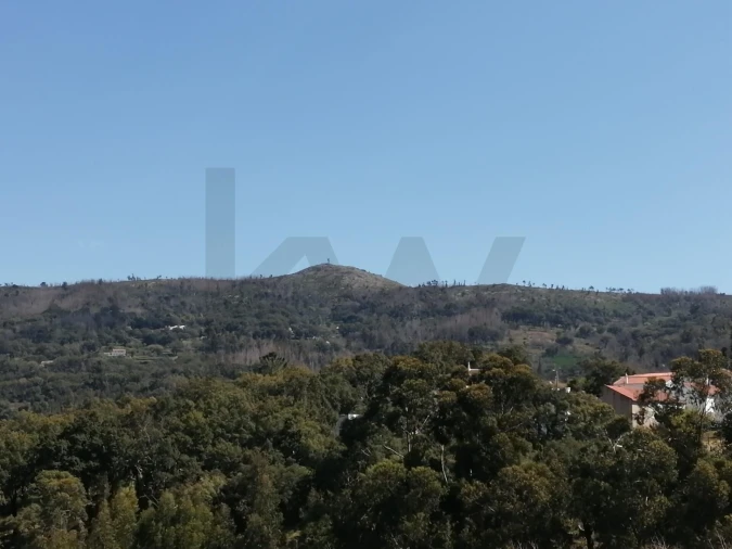 Prédio para Venda em Monchique Foto 3