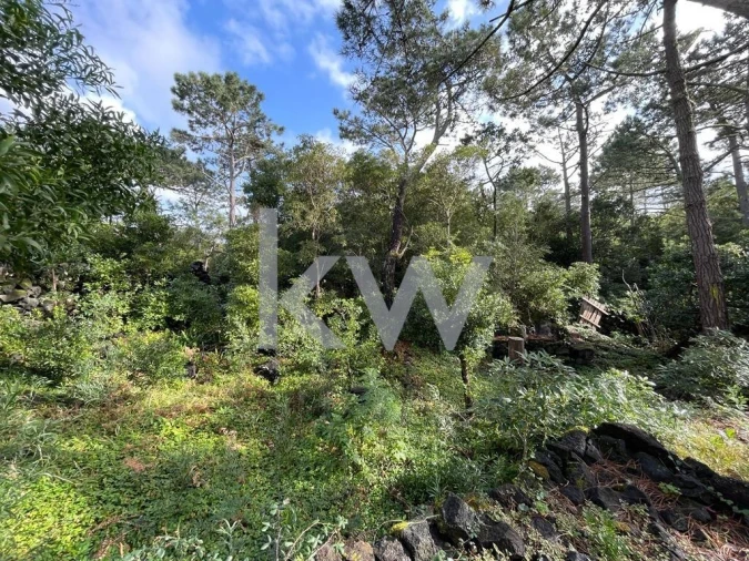 Moradia T4 para Venda em São Roque do Pico Foto 4