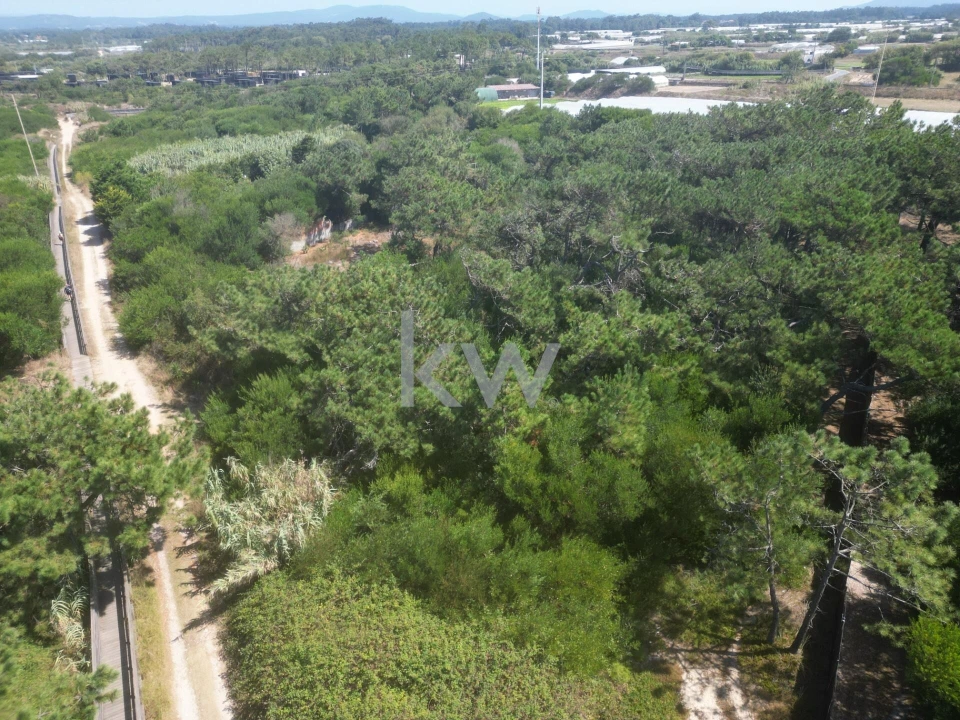 Terreno para Venda em Estela Foto 15