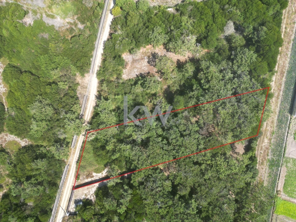 Terreno para Venda em Estela Foto 2